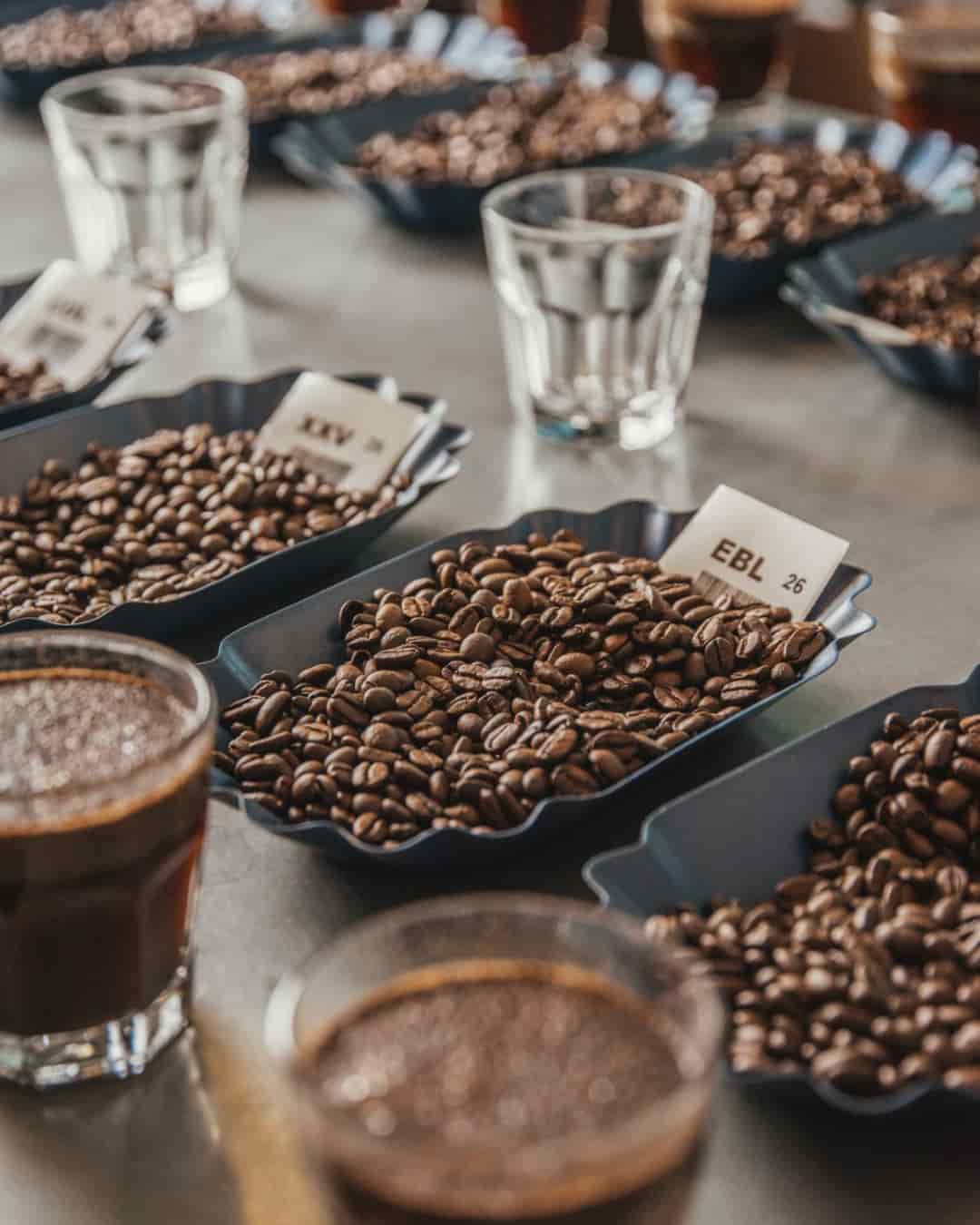 Mega Menu Banner1000639