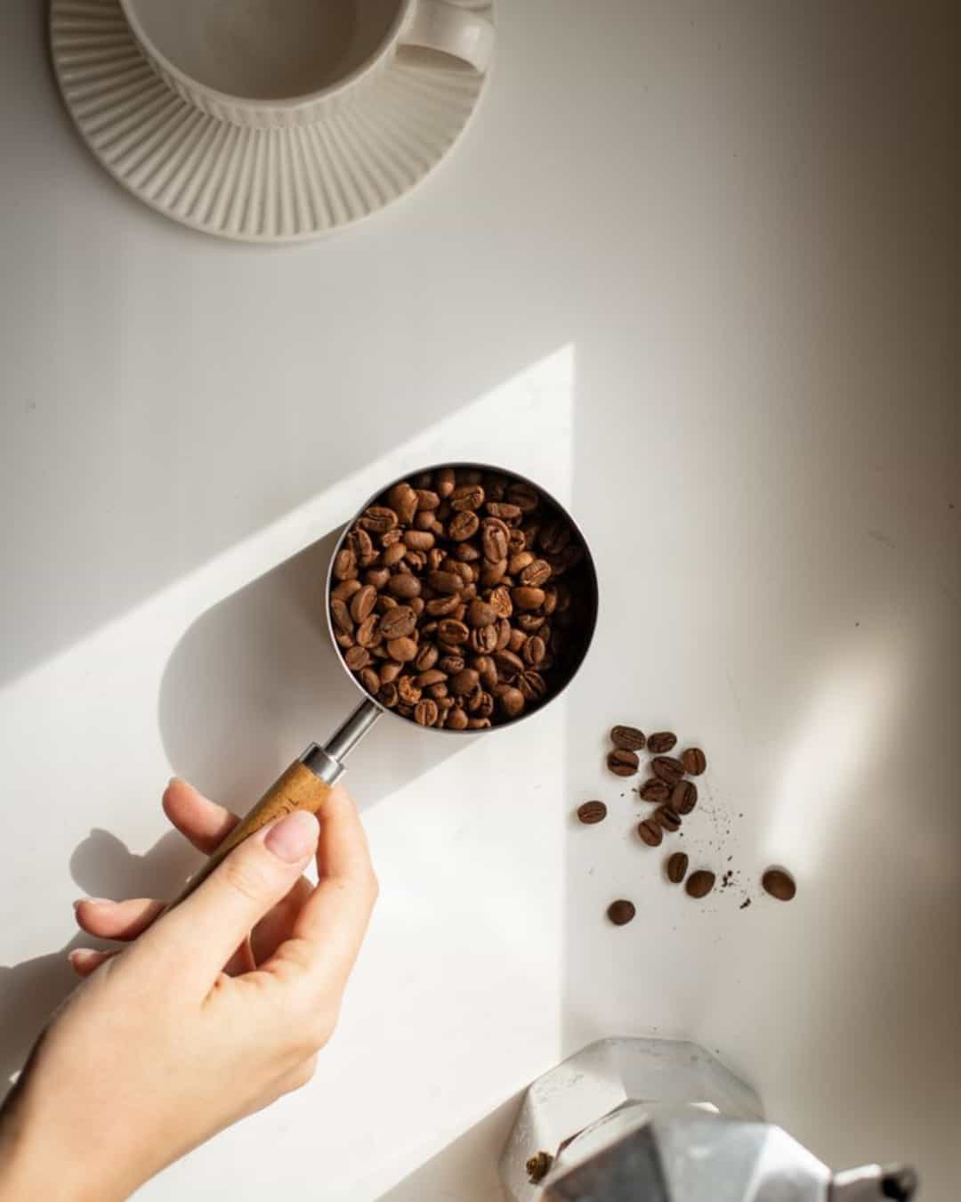 Mega Menu Banner1000640