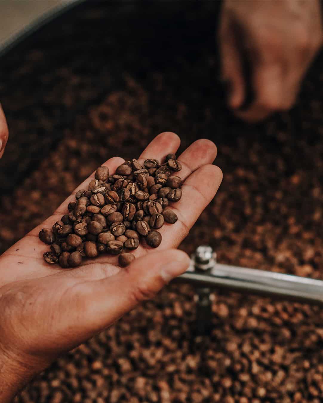 Mega Menu Banner1000662